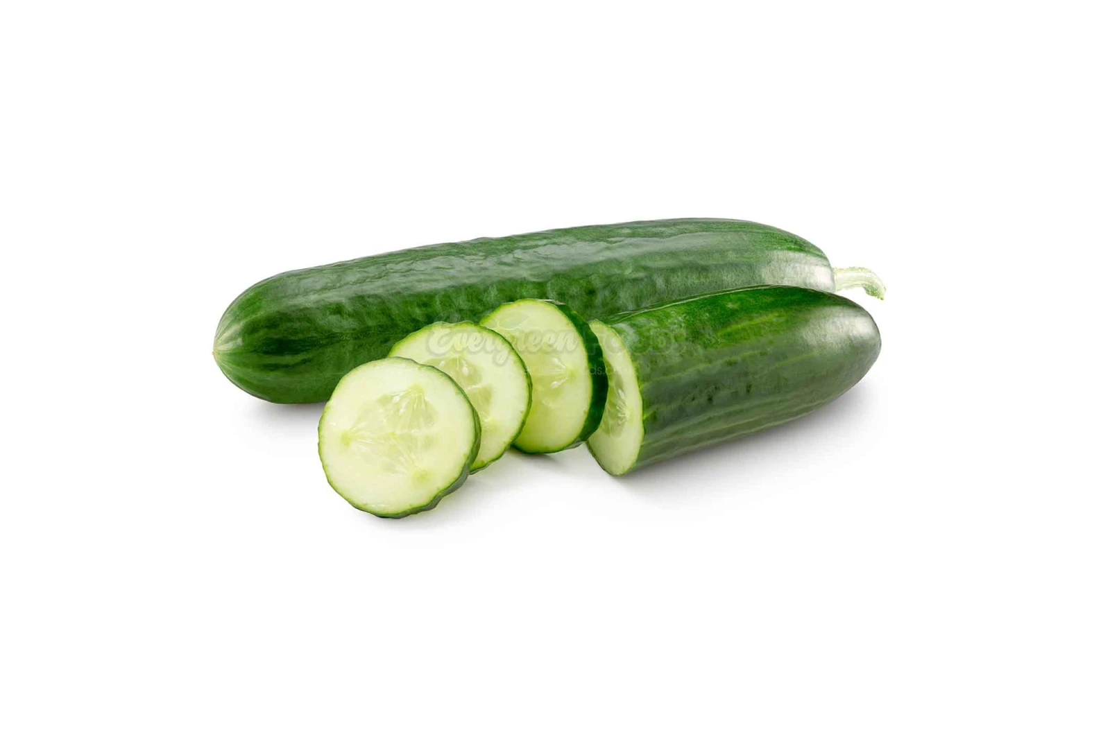 Cucumber