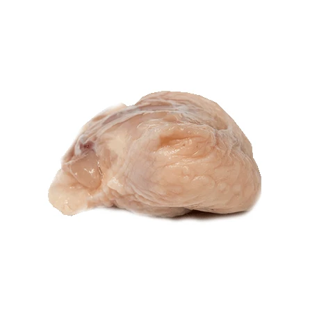 Halal Turkey Tails (Frozen)
