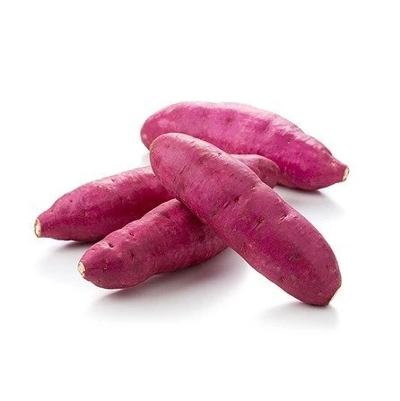 Sweet Red Potato