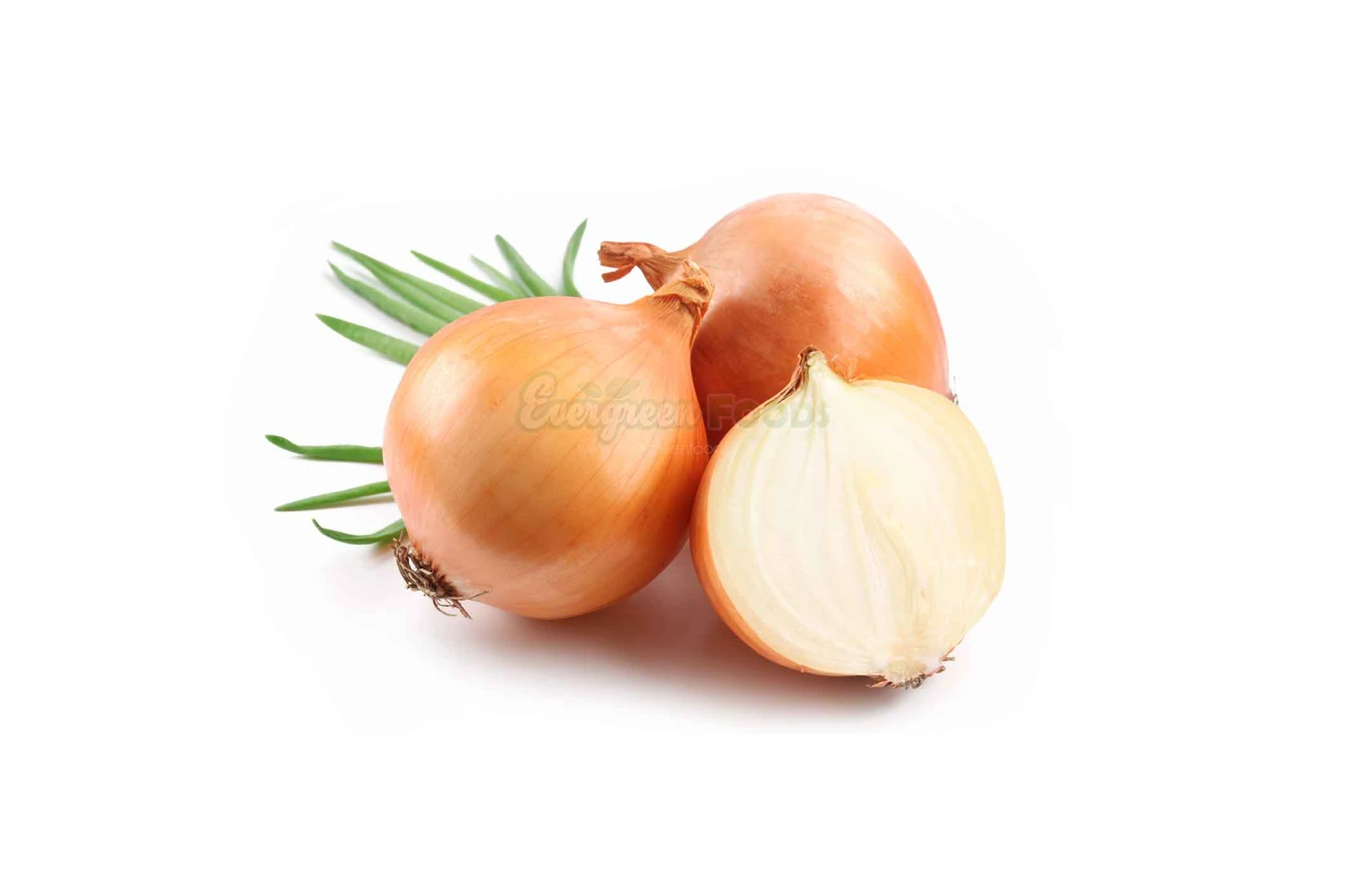 Onion Loose Brown