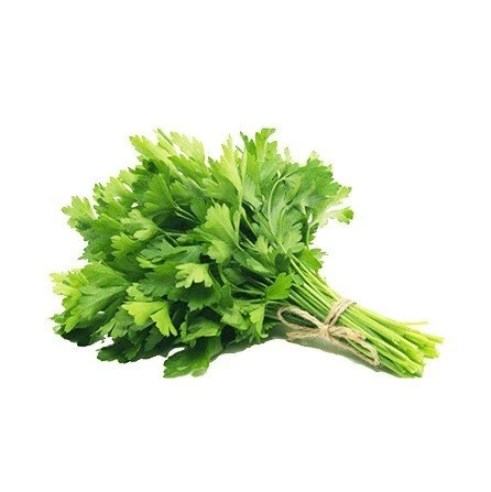 Fresh Parsley Bunch
